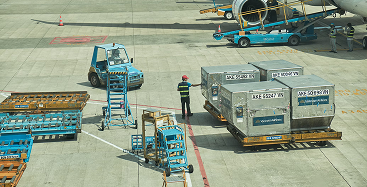 Thủ tục hải quan mau chóng.