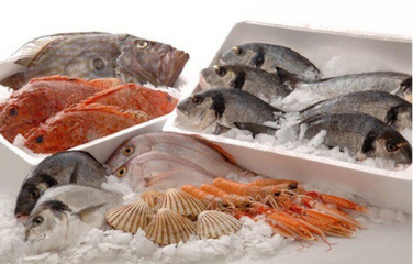 Gửi hàng đông lạnh đi Mỹ: Tất tần tật thông tin chi tiết NHẤT